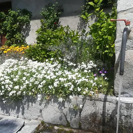 Ulmettina House *